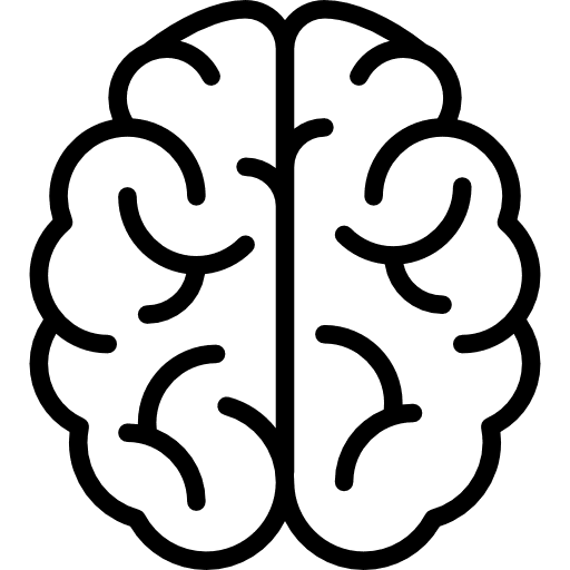 Cerebro representando formação em neuropediatria